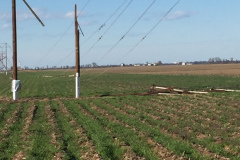 BMU161kvlineMarch12017stormdamage2